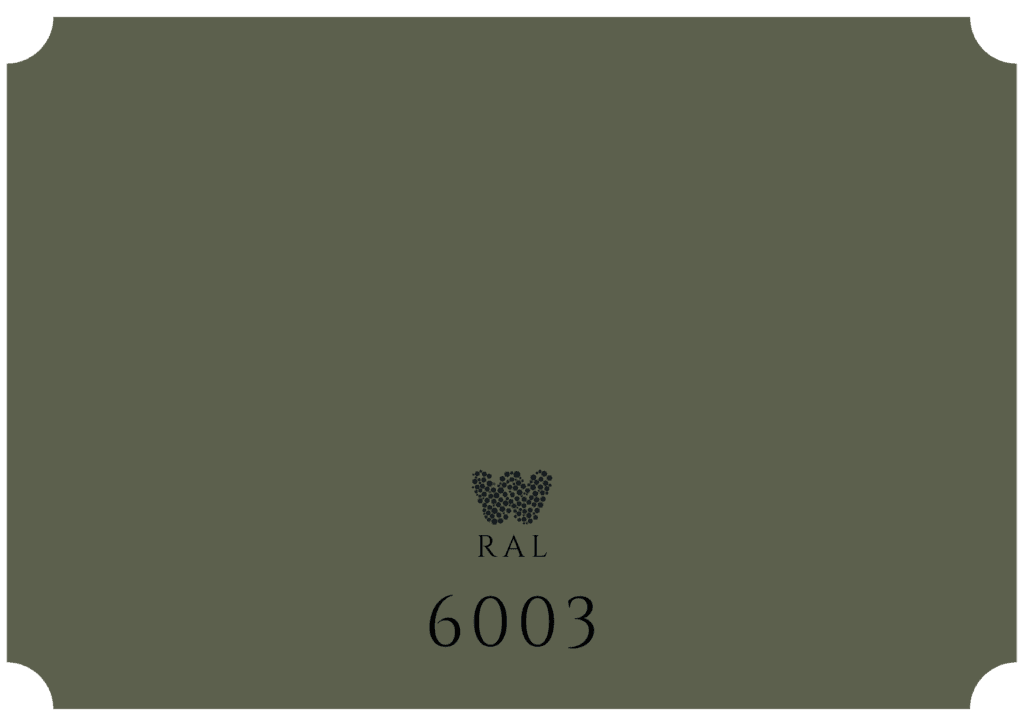 RAL6003