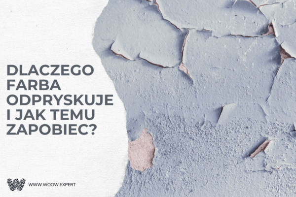 WOOW.EXPERT Dlaczego farba odpryskuje i jak temu zapobiec?