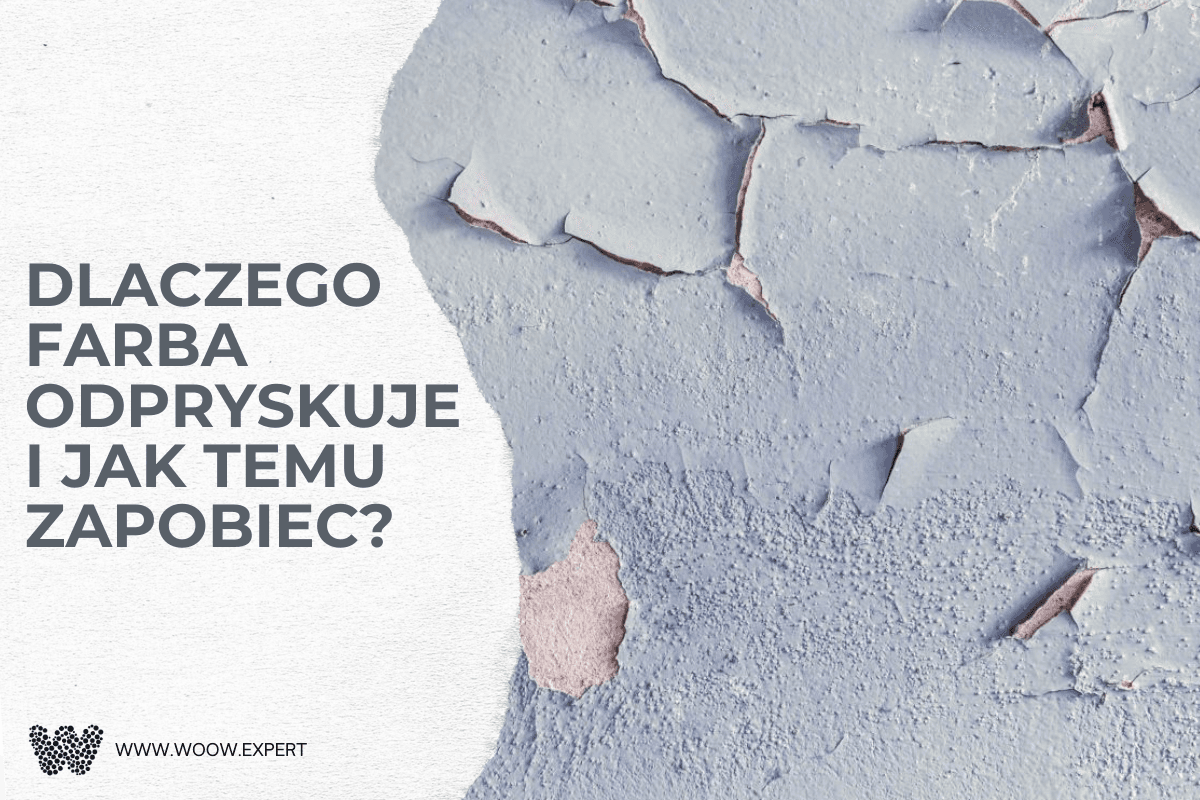 WOOW.EXPERT Dlaczego farba odpryskuje i jak temu zapobiec?