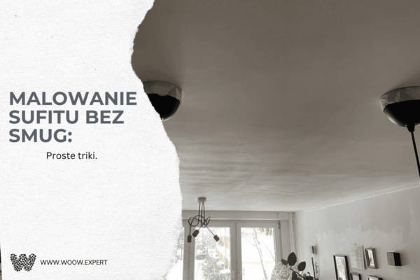 WOOW.EXPERTMalowanie sufitu bez smug
