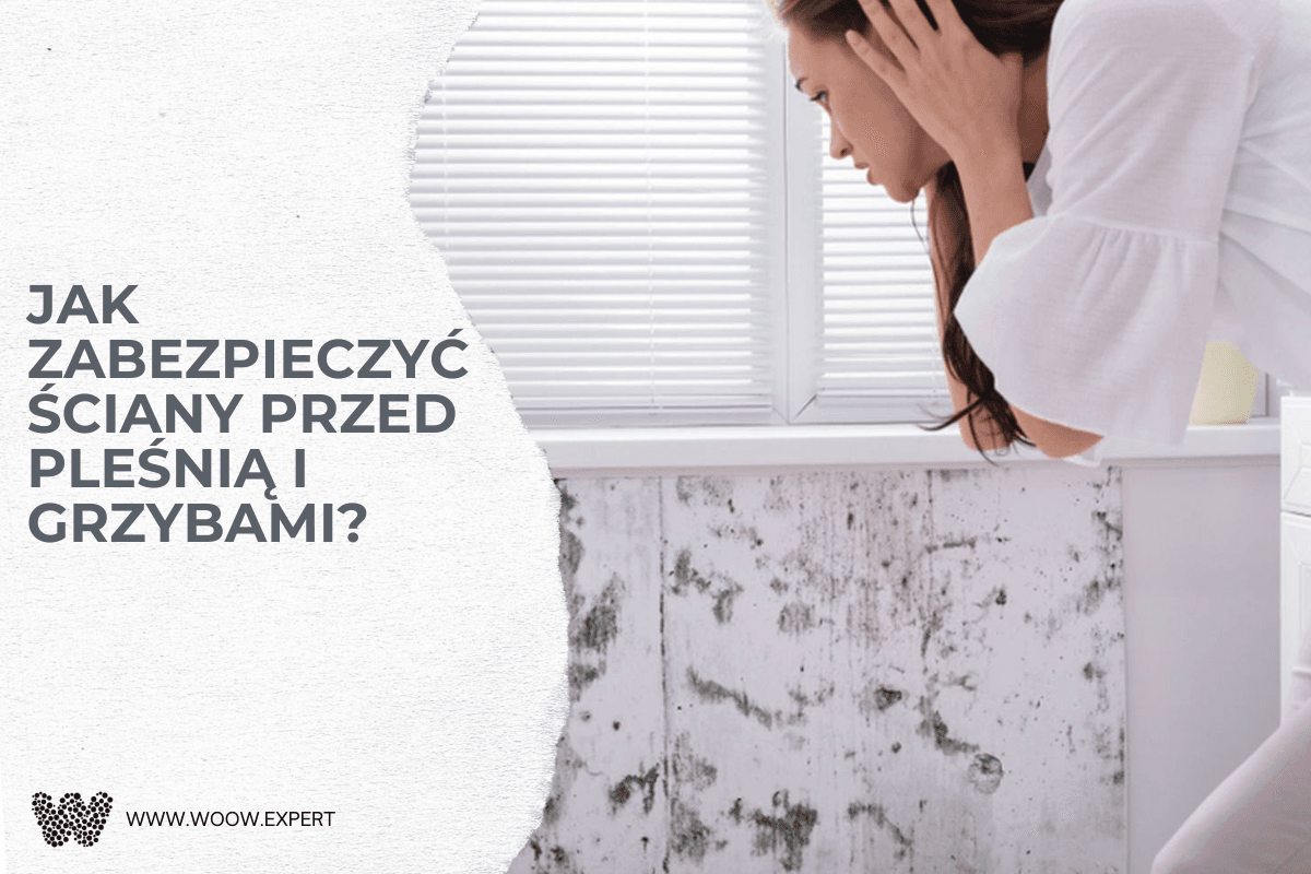 WOOW.EXPERT Jak zabezpieczyć ściany przed pleśnią i grzybami?