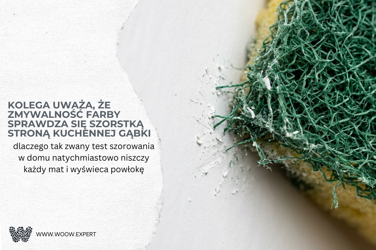 WOOW.EXPERT