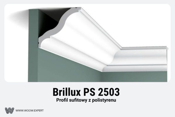 Brillux Ps 2503