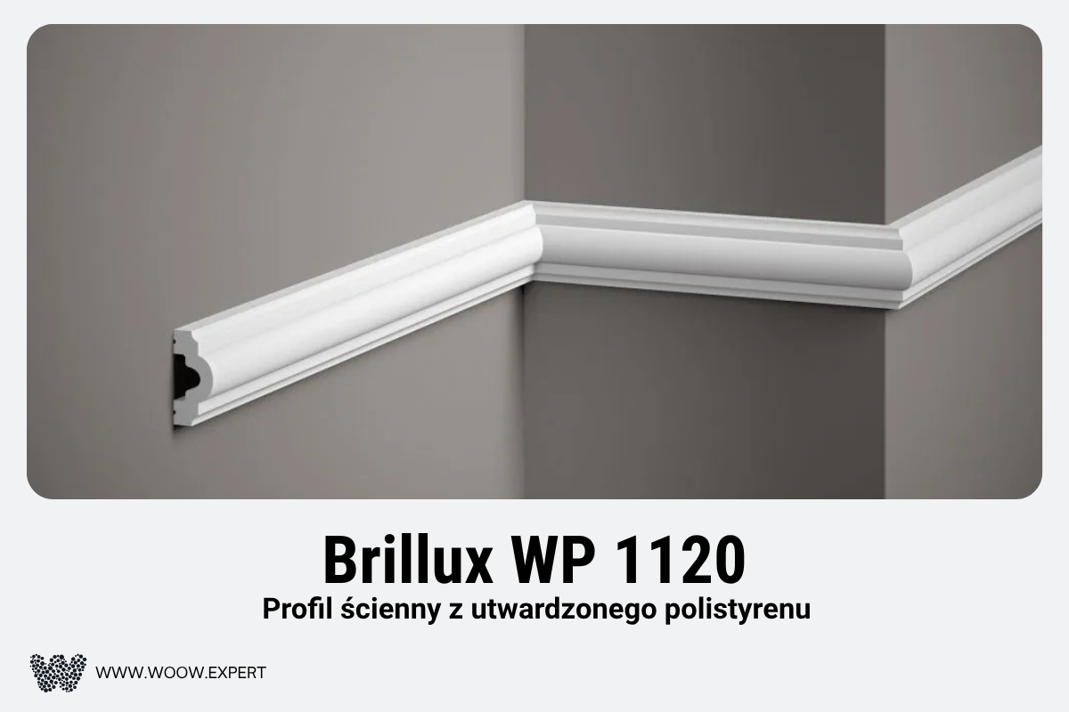 Brillux Wp 1120