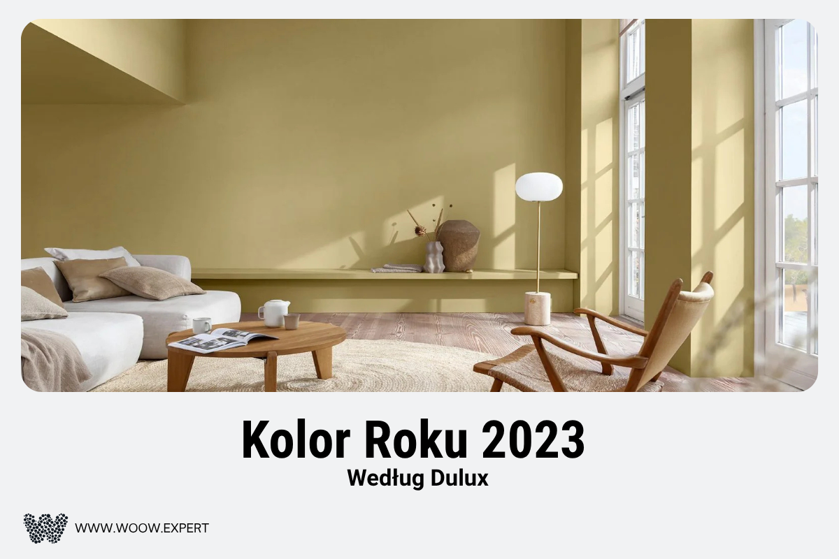 Kolor Roku 2023
