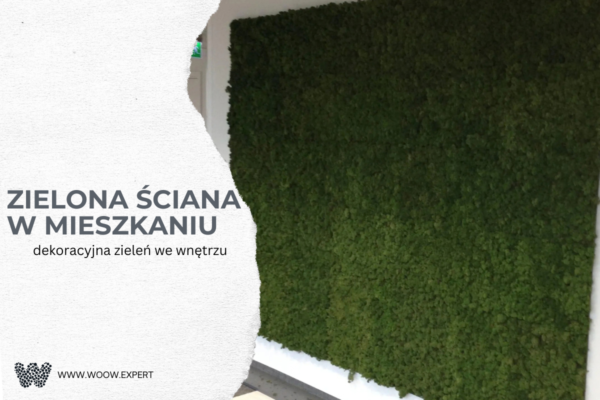 Zielona Ściana W Mieszkaniu