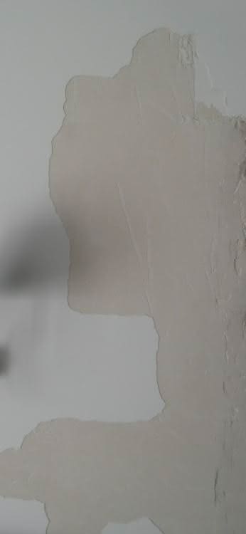 Sniezka Grunt